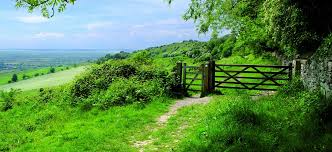 Rosanna Morgan - Evans